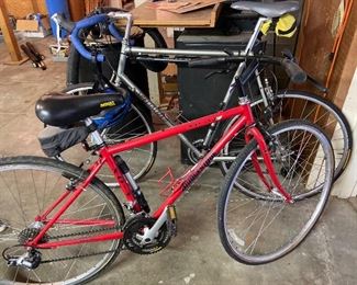 red bike is $100 blue bike is $300