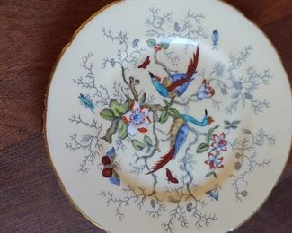 Beautiful Coalport Cairo Peacock Multi Colour
