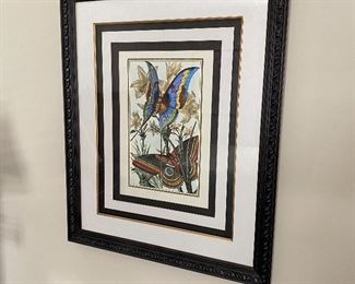 Framed Butterfly Folio Print