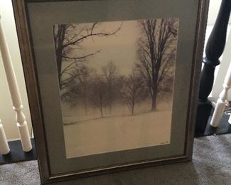 Lumanes B&W tree lithograph signed limited original.  Pd. $500 asking $300