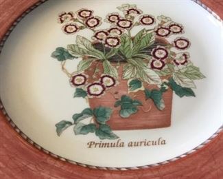 Wedgwood decorative plates