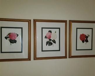 prints , rose trio 