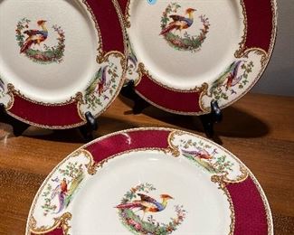 8Dinner Plates
Myott Chelsea Bird