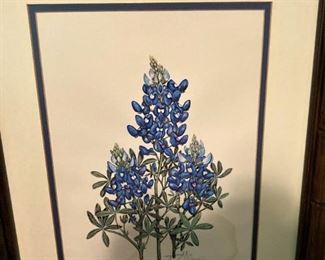 Bluebonnet art (as is)