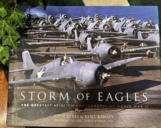 "Storm of Eagles"