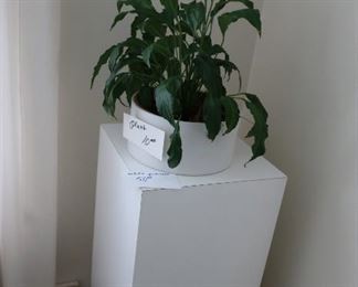 pedestal and  plant