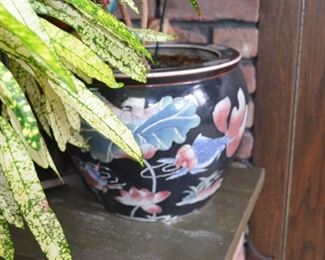 Asian Porcelain Planter with Plant
