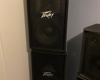 Peavey Set / PV115 / olgi5585 