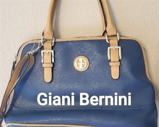 Giani Bernini