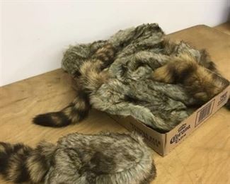 approx 10 coon skin hats