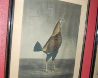 One of three game cock prints
