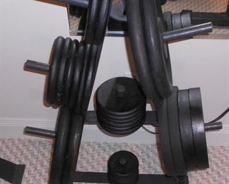 Over 300 Pounds in Free Weights