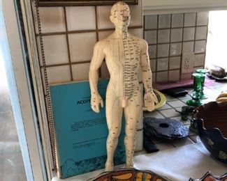 Acupressure model with books  SOLD