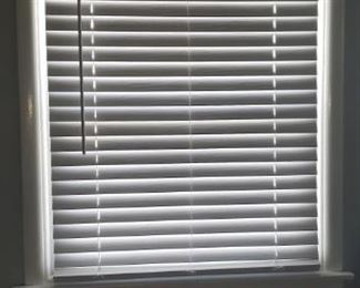 Shades and Blinds