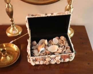 Sea shell box