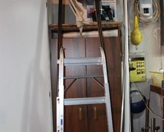 Ladder & Paint Sprayer