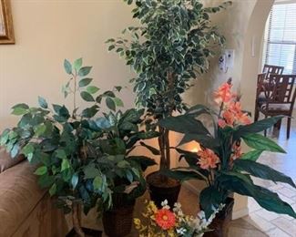 Assorted Silk Plants Tree