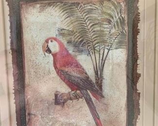 Polynesian Parrot Print