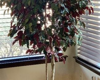 Lg Faux Plant 80x36x36in HxWxD