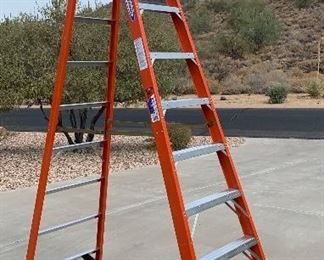 Werner NXT1A10 10ft Ladder
