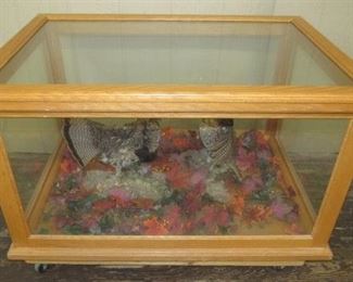 2 Grouse in Display Case