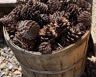 Basket O Pinecones