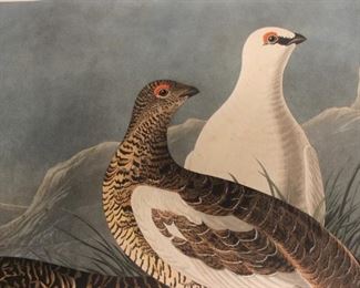 John James Audubon, Havell Prints 
