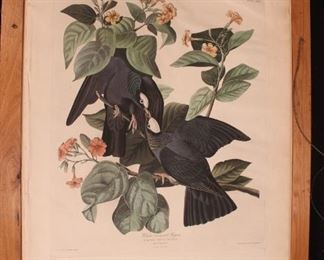 John James Audubon, Havell Prints 