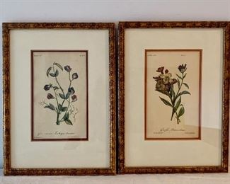 Item 160:  (2) Color lithographs - 10" x 13.25":  $50 for pair