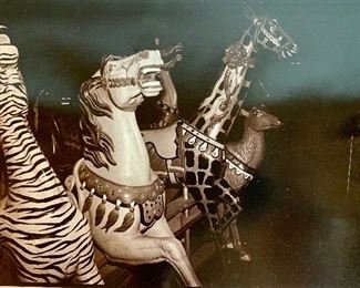 Item 201:  Carousel horses photo  - 11" x 14.25":  45