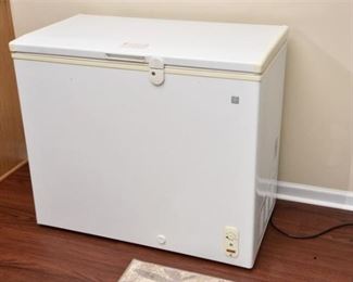 13. GE Deep Freezer