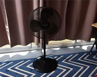 20. Honeywell Fan