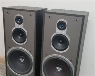 Cerwin Vega 12'" Woofer Floor speakers