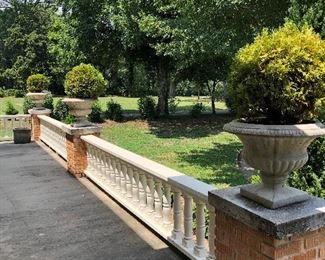 6 planters with Danica shrubs