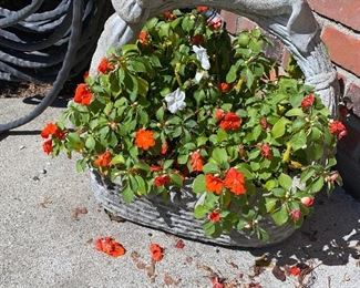 $45 EACH-STONE BASKETS