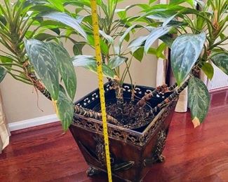 $55 LIVE PLANT WITH PLANTER
