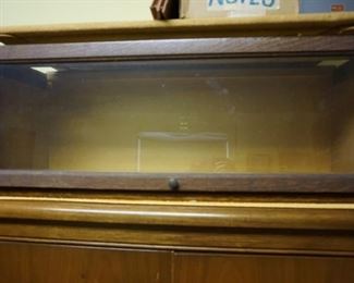 Single lawyers bookcase