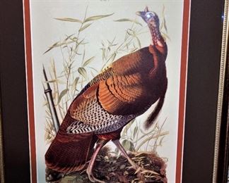 Wild turkey art