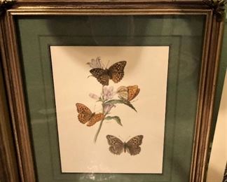Butterfly art