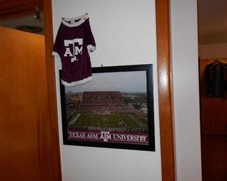 T A&M  picture