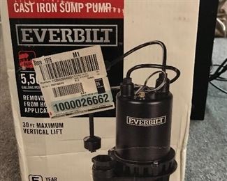 Everbilt 1 HP sump pump -- $100