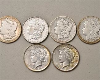 Six (6) Silver Dollars