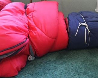 #52 $20.00 Pair sleeping bags 