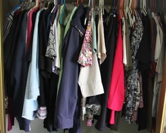 #53 $80.00 Lot ladies clothing shirts mostly size L to XL   Nice condition 