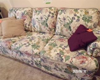 sofa / could be a sleeper