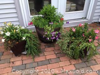 Three large flowerpots with plants in them
