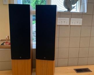 ADS Tower Speakers