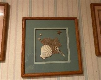 Framed Art Sea Shells