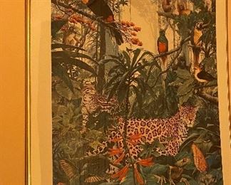 Framed Poster Paul Kratter "Our Rainforests"