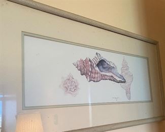 Framed Signed Art Seashells by D. Morgan